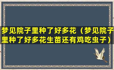 梦见院子里种了好多花（梦见院子里种了好多花生苗还有鸡吃虫子）