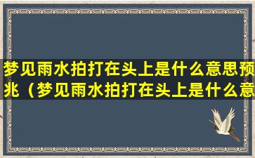 梦见雨水拍打在头上是什么意思预兆（梦见雨水拍打在头上是什么意思预兆女性）