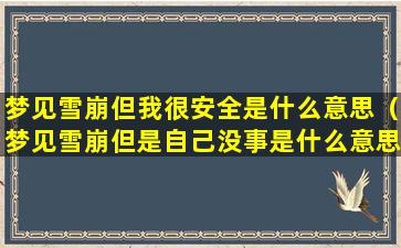 梦见雪崩但我很安全是什么意思（梦见雪崩但是自己没事是什么意思）