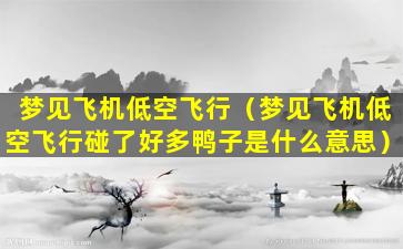 梦见飞机低空飞行（梦见飞机低空飞行碰了好多鸭子是什么意思）