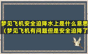 梦见飞机安全迫降水上是什么意思（梦见飞机有问题但是安全迫降了）