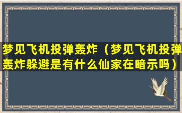 梦见飞机投弹轰炸（梦见飞机投弹轰炸躲避是有什么仙家在暗示吗）