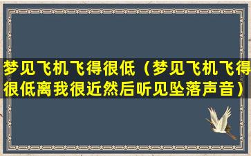 梦见飞机飞得很低（梦见飞机飞得很低离我很近然后听见坠落声音）