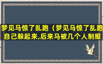 梦见马惊了乱跑（梦见马惊了乱跑自己躲起来,后来马被几个人制服了）