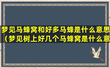 梦见马蜂窝和好多马蜂是什么意思（梦见树上好几个马蜂窝是什么意思）