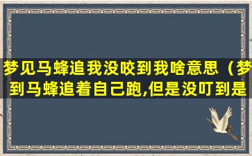 梦见马蜂追我没咬到我啥意思（梦到马蜂追着自己跑,但是没叮到是什么意思）