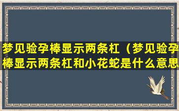 梦见验孕棒显示两条杠（梦见验孕棒显示两条杠和小花蛇是什么意思）