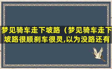 梦见骑车走下坡路（梦见骑车走下坡路很顺刹车很灵,以为没路还有）