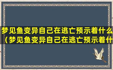 梦见鱼变异自己在逃亡预示着什么（梦见鱼变异自己在逃亡预示着什么意思）