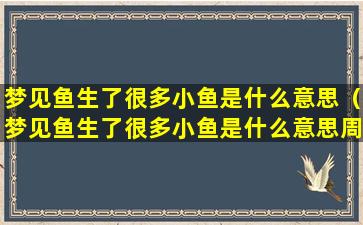 梦见鱼生了很多小鱼是什么意思（梦见鱼生了很多小鱼是什么意思周公解梦）