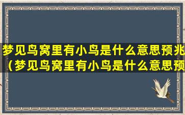 梦见鸟窝里有小鸟是什么意思预兆（梦见鸟窝里有小鸟是什么意思预兆解梦）