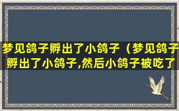 梦见鸽子孵出了小鸽子（梦见鸽子孵出了小鸽子,然后小鸽子被吃了）