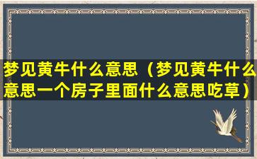 梦见黄牛什么意思（梦见黄牛什么意思一个房子里面什么意思吃草）