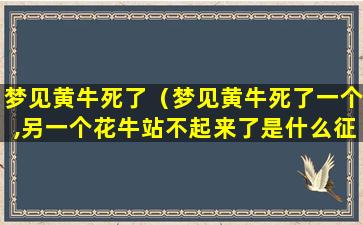 梦见黄牛死了（梦见黄牛死了一个,另一个花牛站不起来了是什么征兆）