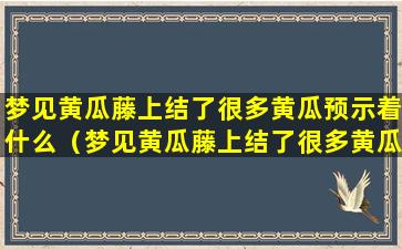 梦见黄瓜藤上结了很多黄瓜预示着什么（梦见黄瓜藤上结了很多黄瓜预示着什么意思）