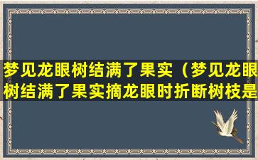 梦见龙眼树结满了果实（梦见龙眼树结满了果实摘龙眼时折断树枝是什么意思）