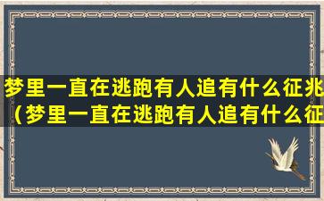 梦里一直在逃跑有人追有什么征兆（梦里一直在逃跑有人追有什么征兆解梦）