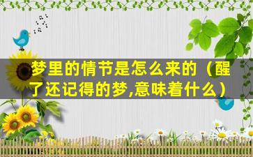 梦里的情节是怎么来的（醒了还记得的梦,意味着什么）