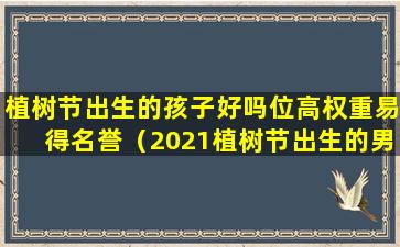 植树节出生的孩子好吗位高权重易得名誉（2021植树节出生的男孩好不好）