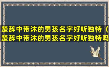 楚辞中带沐的男孩名字好听独特（楚辞中带沐的男孩名字好听独特吗）