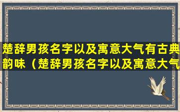 楚辞男孩名字以及寓意大气有古典韵味（楚辞男孩名字以及寓意大气有古典韵味吗）