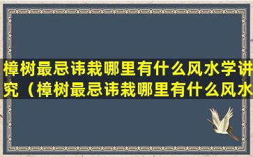 樟树最忌讳栽哪里有什么风水学讲究（樟树最忌讳栽哪里有什么风水学讲究呢）