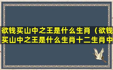 欲钱买山中之王是什么生肖（欲钱买山中之王是什么生肖十二生肖中哪个属于长寿）