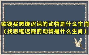 欲钱买思维迟钝的动物是什么生肖（找思维迟钝的动物是什么生肖）