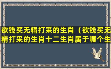 欲钱买无精打采的生肖（欲钱买无精打采的生肖十二生肖属于哪个生肖）