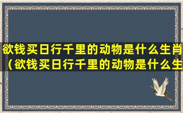 欲钱买日行千里的动物是什么生肖（欲钱买日行千里的动物是什么生肖打一生肖）