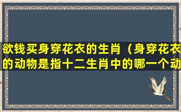 欲钱买身穿花衣的生肖（身穿花衣的动物是指十二生肖中的哪一个动物）