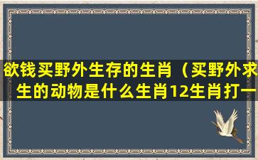 欲钱买野外生存的生肖（买野外求生的动物是什么生肖12生肖打一肖）