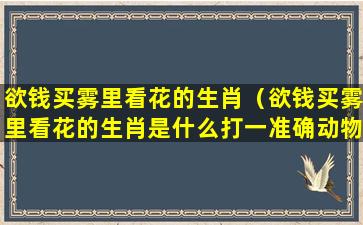 欲钱买雾里看花的生肖（欲钱买雾里看花的生肖是什么打一准确动物）