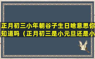 正月初三小年朝谷子生日啥意思你知道吗（正月初三是小元旦还是小年朝）