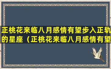 正桃花来临八月感情有望步入正轨的星座（正桃花来临八月感情有望步入正轨的星座吗）