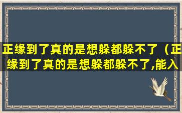 正缘到了真的是想躲都躲不了（正缘到了真的是想躲都躲不了,能入梦的人一定是正缘）