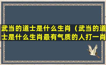 武当的道士是什么生肖（武当的道士是什么生肖最有气质的人打一肖）