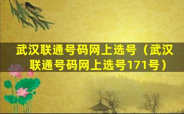 武汉联通号码网上选号（武汉联通号码网上选号171号）