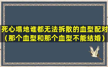 死心塌地谁都无法拆散的血型配对（那个血型和那个血型不能结婚）