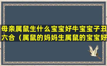 母亲属鼠生什么宝宝好牛宝宝子丑六合（属鼠的妈妈生属鼠的宝宝好不好）