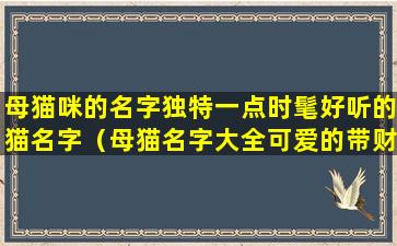 母猫咪的名字独特一点时髦好听的猫名字（母猫名字大全可爱的带财运）