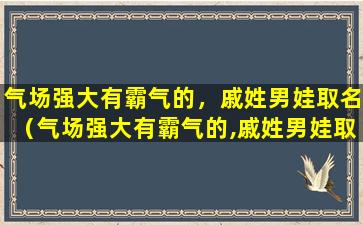 气场强大有霸气的，戚姓男娃取名（气场强大有霸气的,戚姓男娃取名）