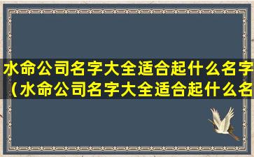 水命公司名字大全适合起什么名字（水命公司名字大全适合起什么名字女孩）