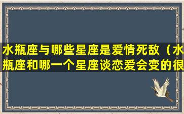 水瓶座与哪些星座是爱情死敌（水瓶座和哪一个星座谈恋爱会变的很怂）