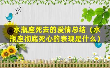 水瓶座死去的爱情总结（水瓶座彻底死心的表现是什么）