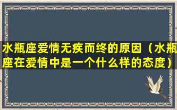 水瓶座爱情无疾而终的原因（水瓶座在爱情中是一个什么样的态度）