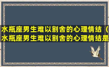 水瓶座男生难以割舍的心理情结（水瓶座男生难以割舍的心理情结是什么）