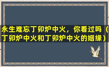 永生难忘丁卯炉中火，你看过吗（丁卯炉中火和丁卯炉中火的姻缘）