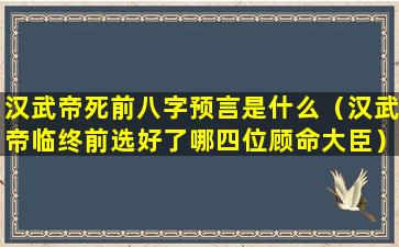 汉武帝死前八字预言是什么（汉武帝临终前选好了哪四位顾命大臣）