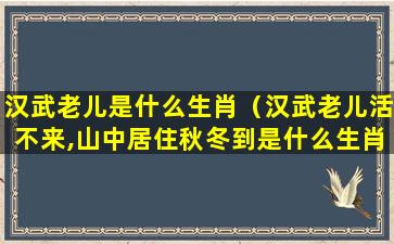 汉武老儿是什么生肖（汉武老儿活不来,山中居住秋冬到是什么生肖）